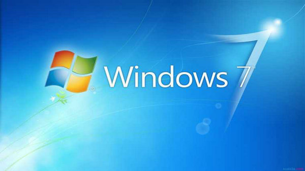 windows7萝卜家园2011专业版本 v2011