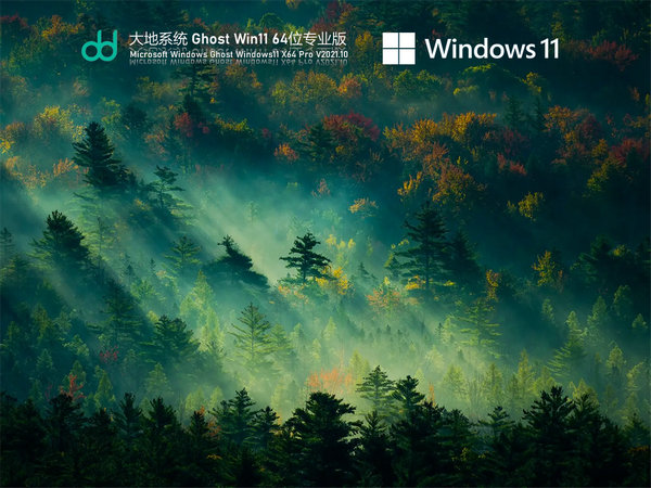大地系统windows11旗舰版64 v2021.11