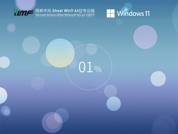 雨林木风windows11官方正式版 v2021.11