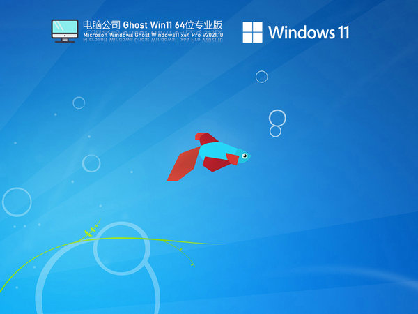 电脑公司windows11专业版 v2021.11