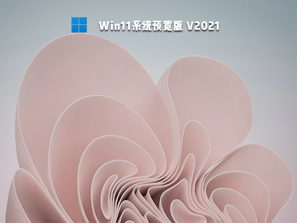 官方原版windows11系统预览版 v2021.11