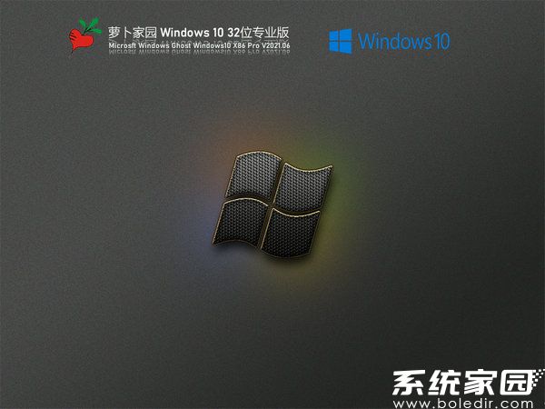 萝卜家园windows10专业版iso v2021.11