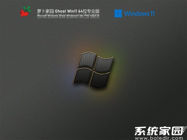 萝卜家园Windows11 专业版 v2021.11