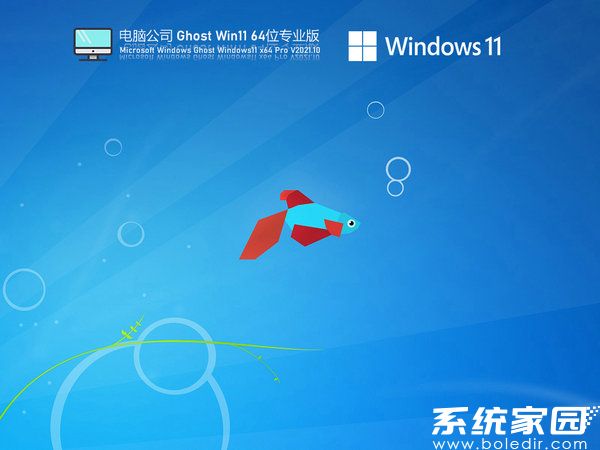 电脑公司windows11稳定版 v2021.11