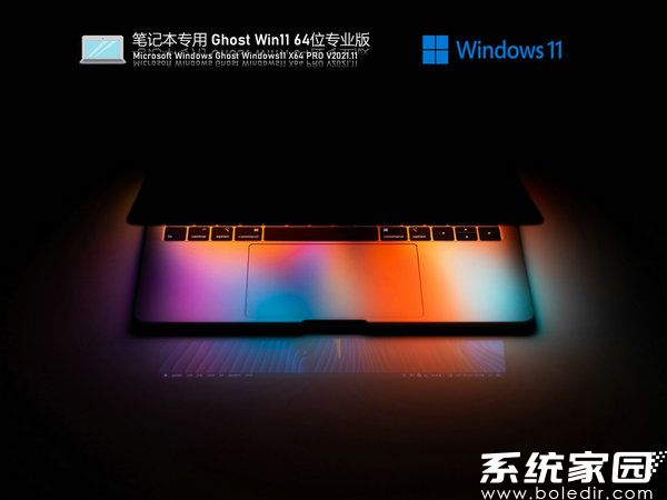 笔记本专用windows11正式专业版 v2021.11