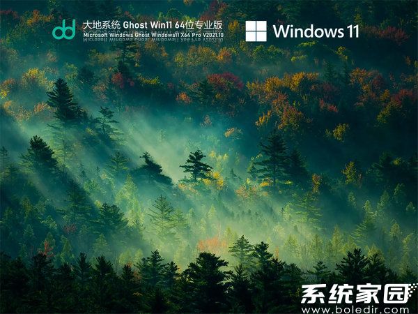 大地系统windows11免激活专业版 v2021.11