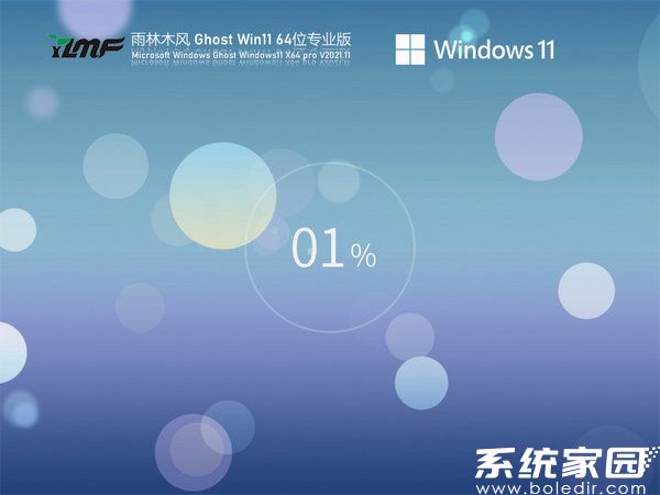 雨林木风windows11专业版 v2021.11