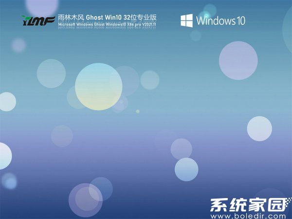 雨林木风windows10专业版家庭版 v2021.11