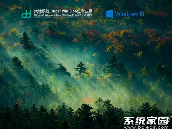大地系统windows10精简版 v2021.11