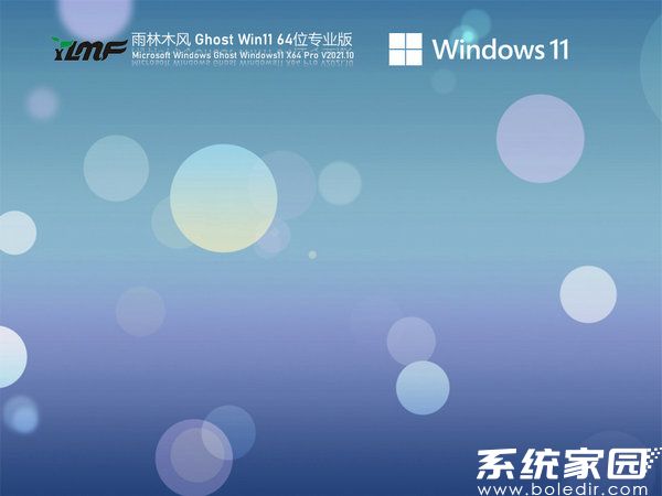 雨林木风windows11企业版安装 v2021.11