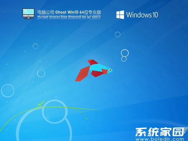 电脑公司windows10系统游戏版