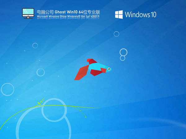 电脑公司windows10系统游戏版 v2022.01