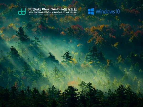 大地系统windows10 64位官方家庭版 v2021.11