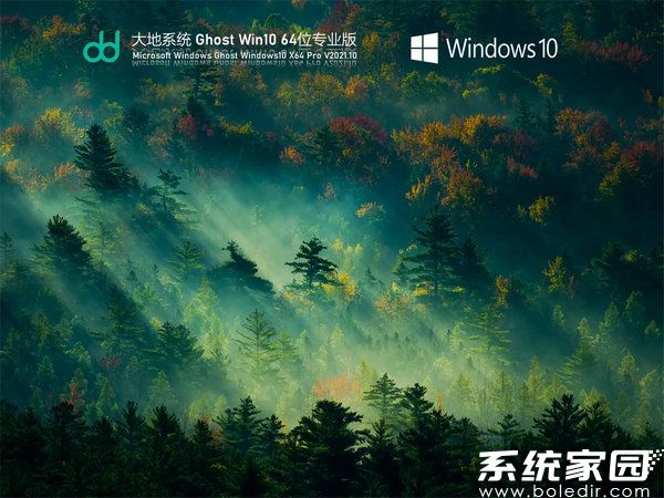 大地系统windows10 64位最新纯净版