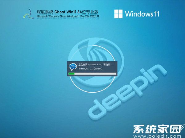深度技术windows11 64位专业优化版