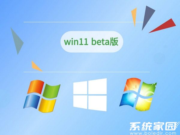 windows11 beta版