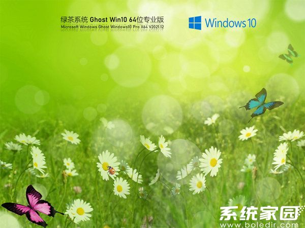 绿茶系统windows10 64位免费专业版