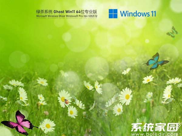 绿茶系统windows11 64位官方正式版