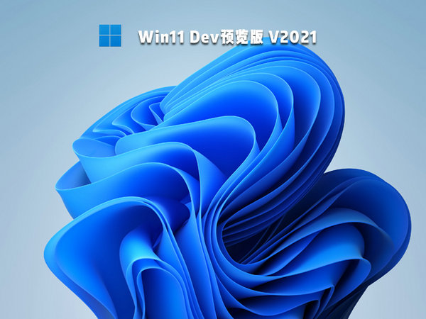 windows11 64位dev预览版 v2021.12