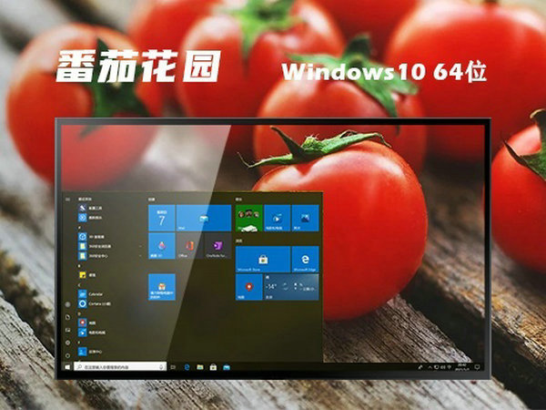 番茄花园windows10精简版64位下载镜像 v2022.01
