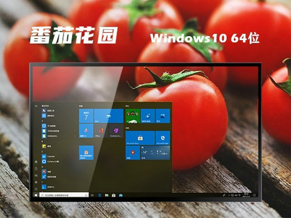 番茄花园windows10 64位稳定游戏版 v2021.12
