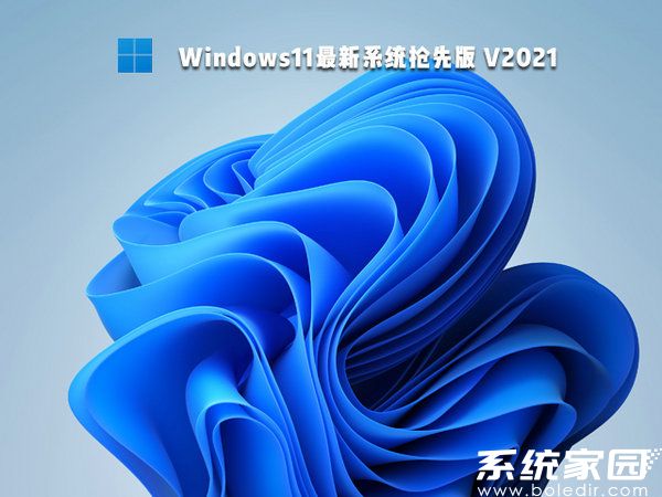 windows11 64位最新系统抢先版