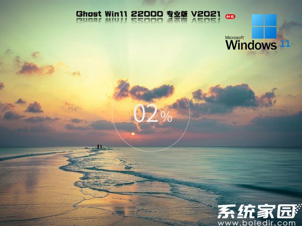 windows11 21H2 64位专业版
