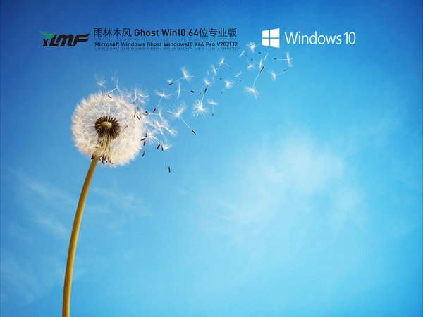 雨林木风windows10 64位高效稳定版 v2021.12