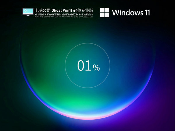 电脑公司windows11 64位专业优化版 v2021.12