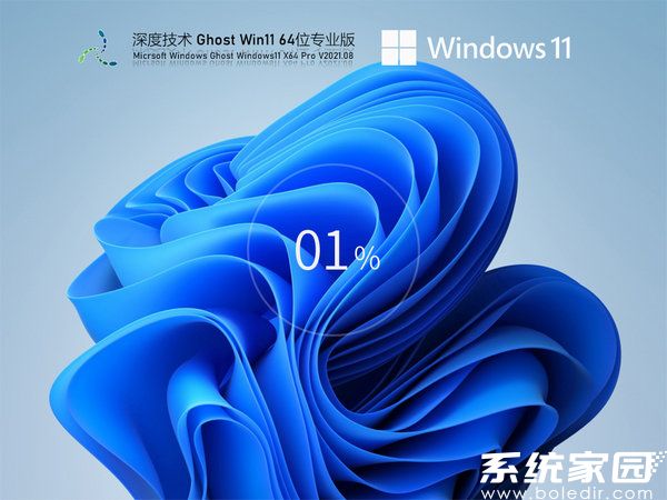 深度技术windows11 64位稳定优化版