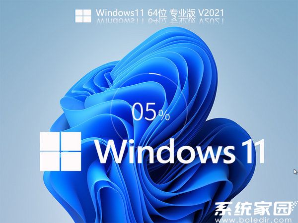 windows11 64位免费激活版