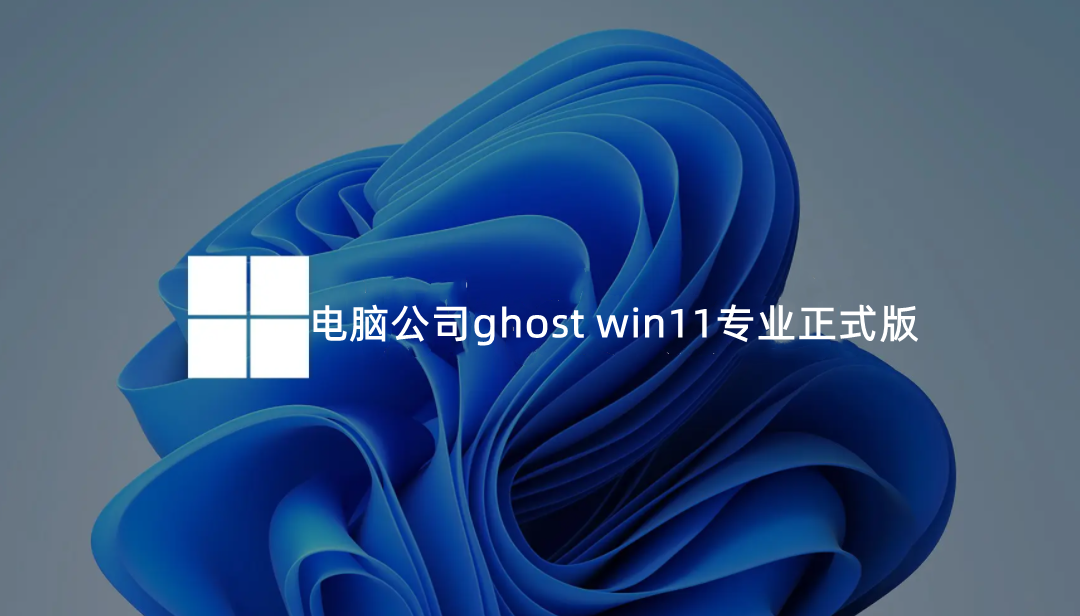 电脑公司ghost win11专业正式版 v2022.6
