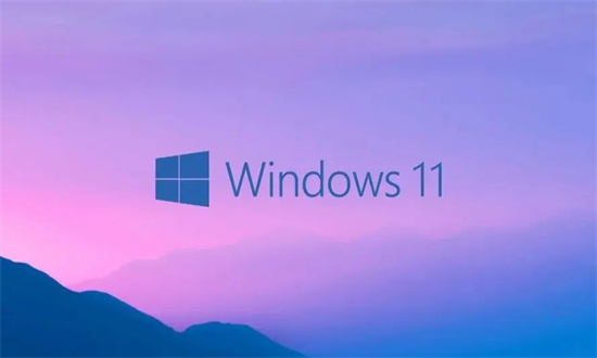 电脑公司windows11专业版安装版 v2022.7