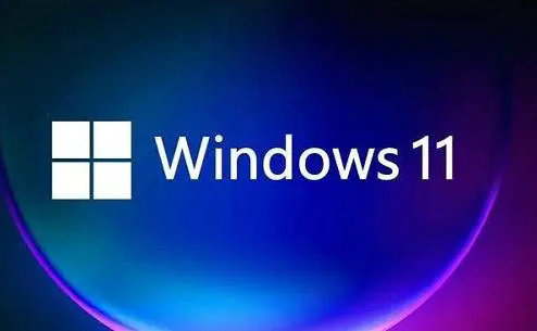 微软正版Windows11家庭版 v2022