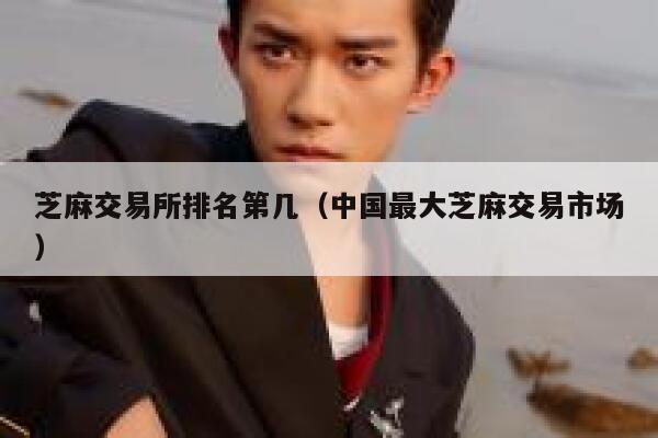 芝麻交易所排名第几 芝麻交易所排名介绍