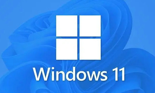 微软win11正版系统官网版 v2024
