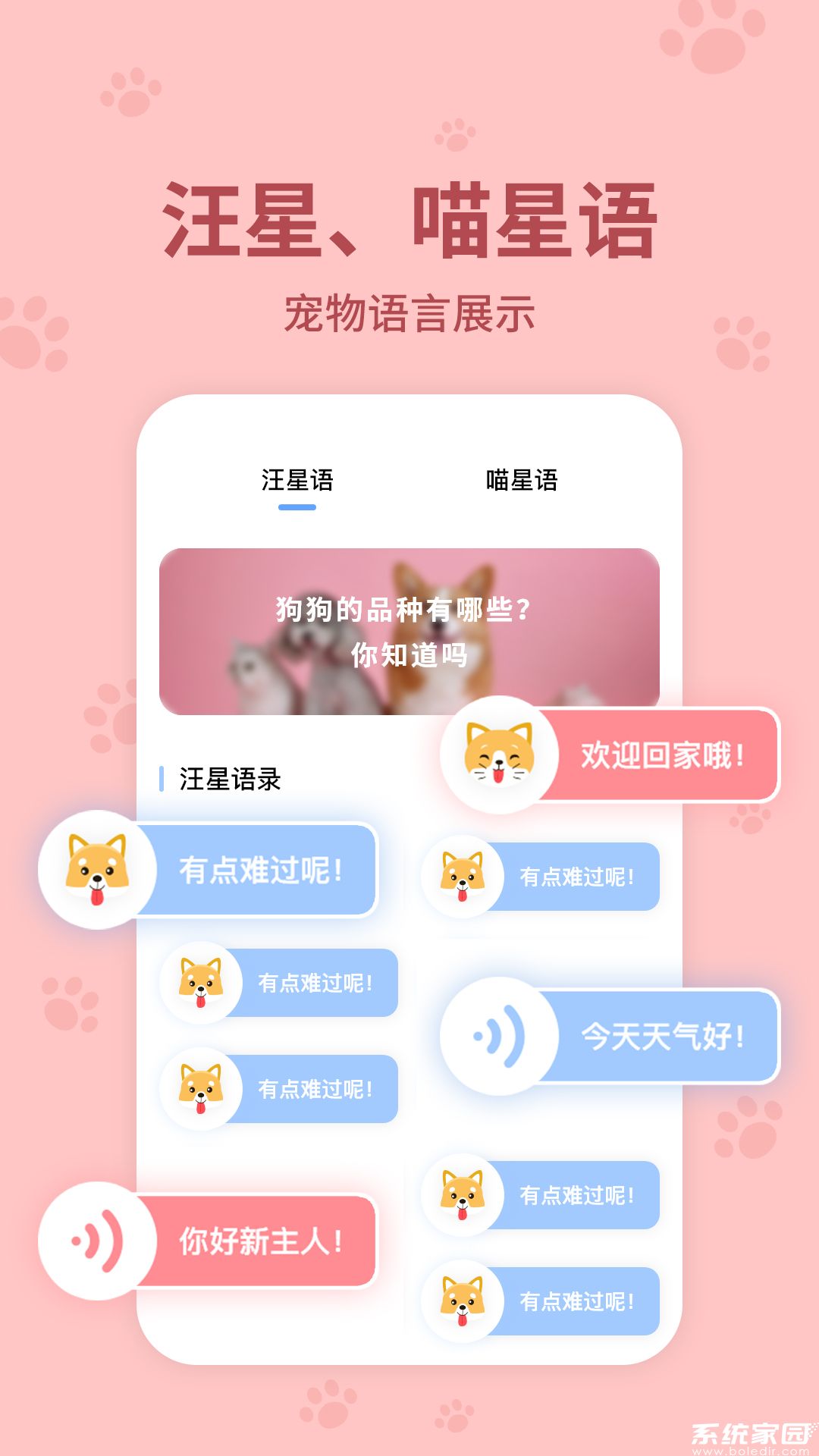 动物翻译器中文版免费下载