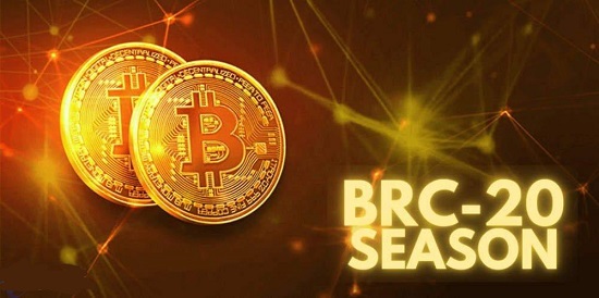 brc20代币有哪些 常见brc20代币盘点