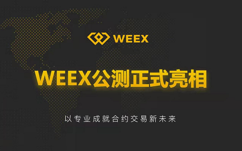 weex交易所官网网址 weex交易所官网介绍说明
