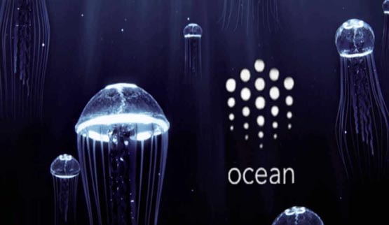 ocean币发行总量是多少 ocean币发行总量介绍