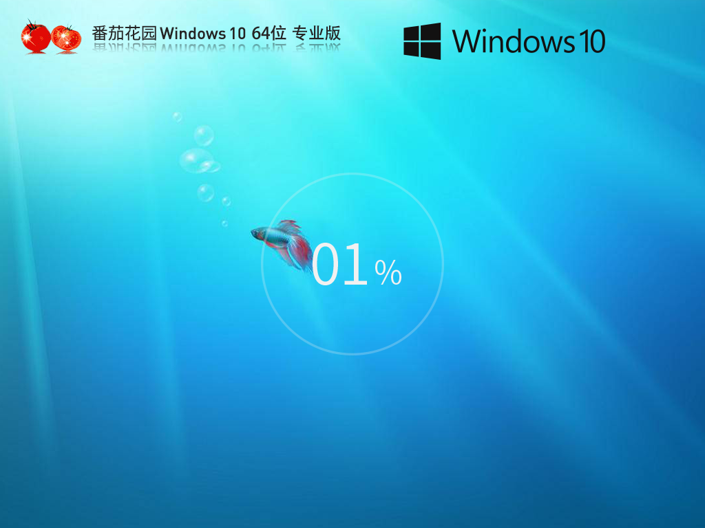 番茄花园Windows10 64位 